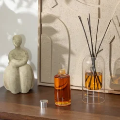 Atmosphera Parfums D'Ambiance*Recharge parfum "Ilan" Orangedouce