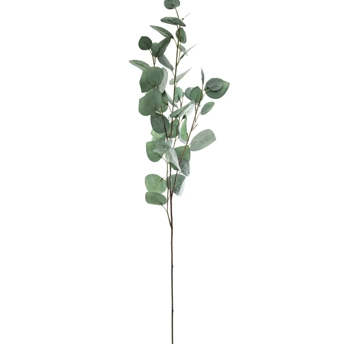 Atmosphera Fleurs Artificielles*Tige d'eucalyptus artificiel Noir