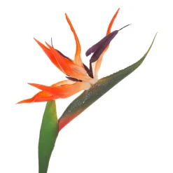 Atmosphera Fleurs Artificielles*Tige d'oiseau du paradis artificielle Modèle1
