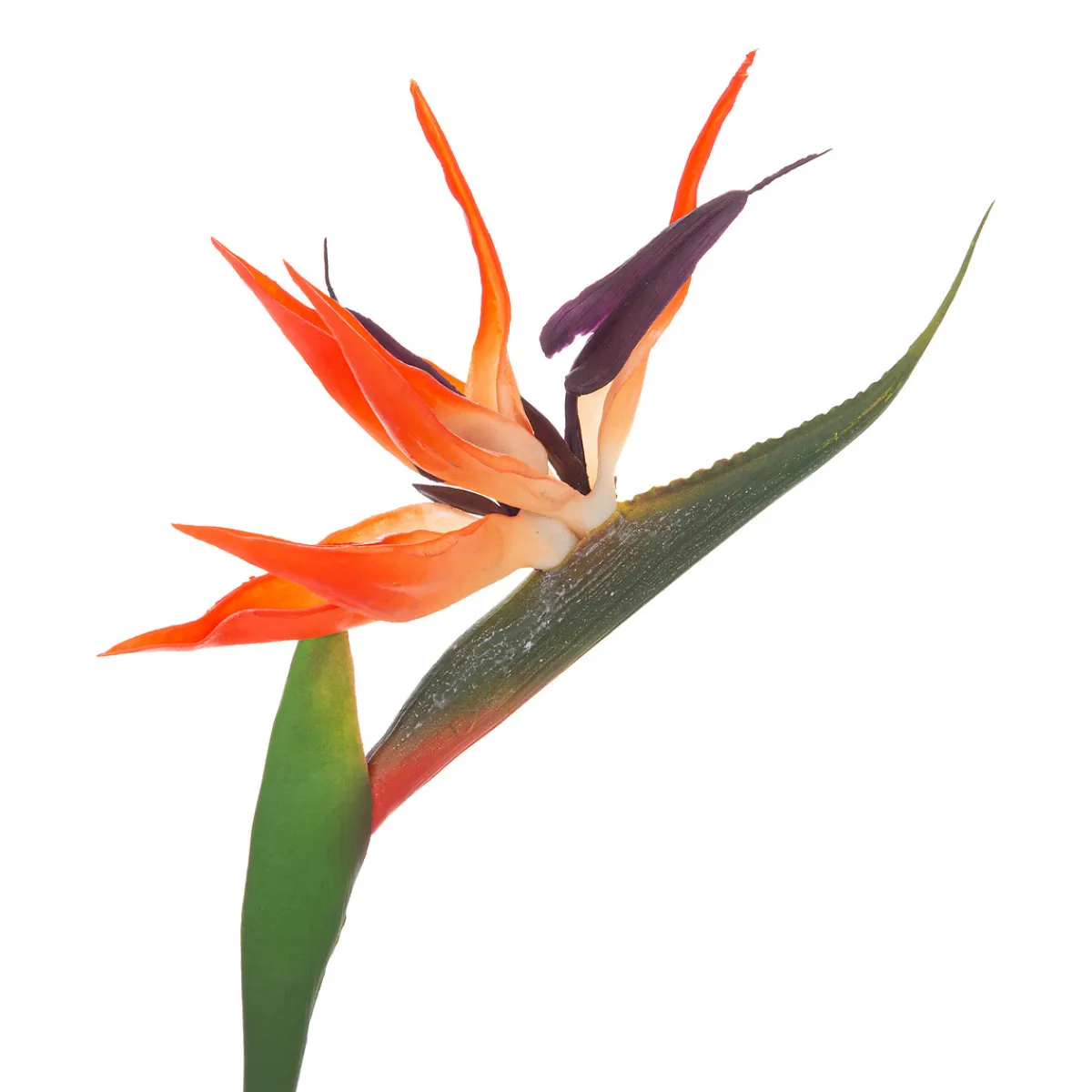 Atmosphera Fleurs Artificielles*Tige d'oiseau du paradis artificielle Modèle1