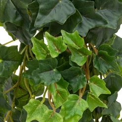 Atmosphera Plantes Artificielles|Fleurs Artificielles*Tige tombante artificielle de lierre "Tria" Vert
