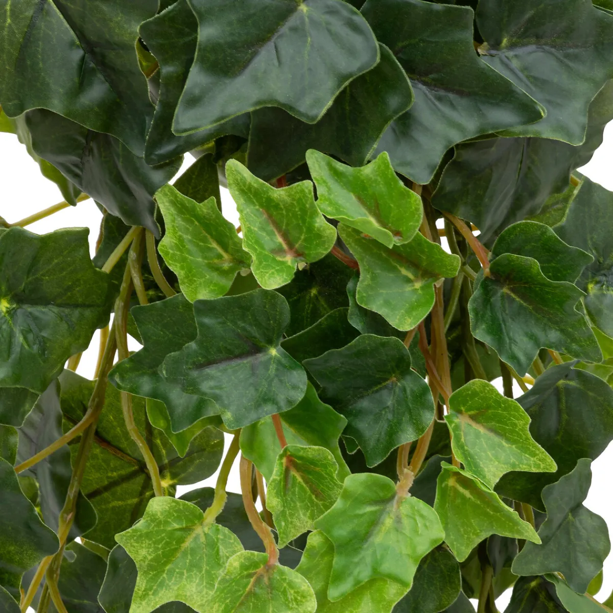 Atmosphera Plantes Artificielles|Fleurs Artificielles*Tige tombante artificielle de lierre "Tria" Vert