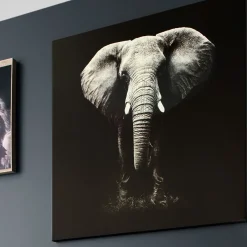 Atmosphera Toiles, Tableaux*Toile imprimée "Animaux" Gris