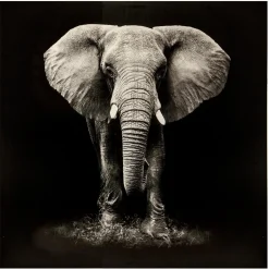Atmosphera Toiles, Tableaux*Toile imprimée "Animaux" Gris